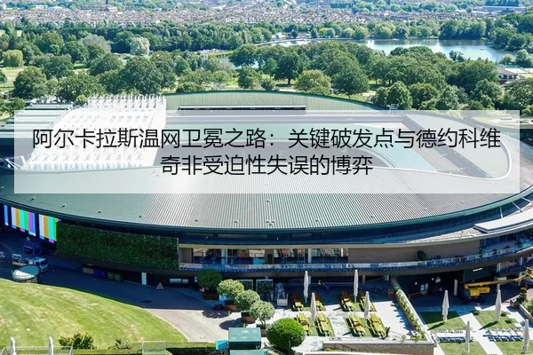 a-er-ka-la-si-wen-wang-wei-mian-zhi-lu-guan-jian-po-fa-dian-yu-de-yue-ke-wei-qi-fei-shou-po-xing-shi-wu-de-bo-yi-3-714.jpg