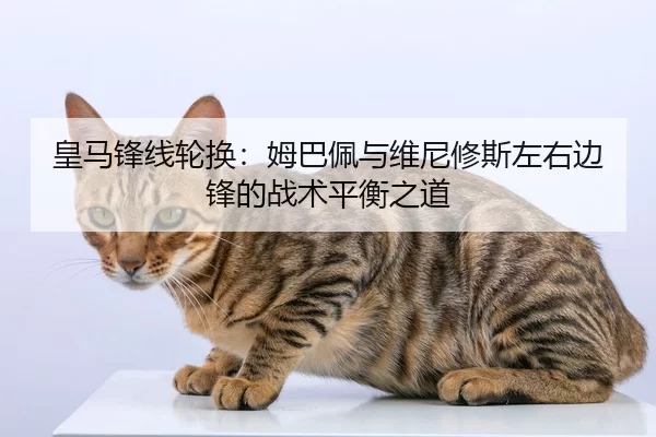 皇马锋线轮换：姆巴佩与维尼修斯左右边锋的战术平衡之道