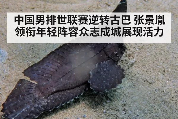 中国男排世联赛逆转古巴 张景胤领衔年轻阵容众志成城展现活力